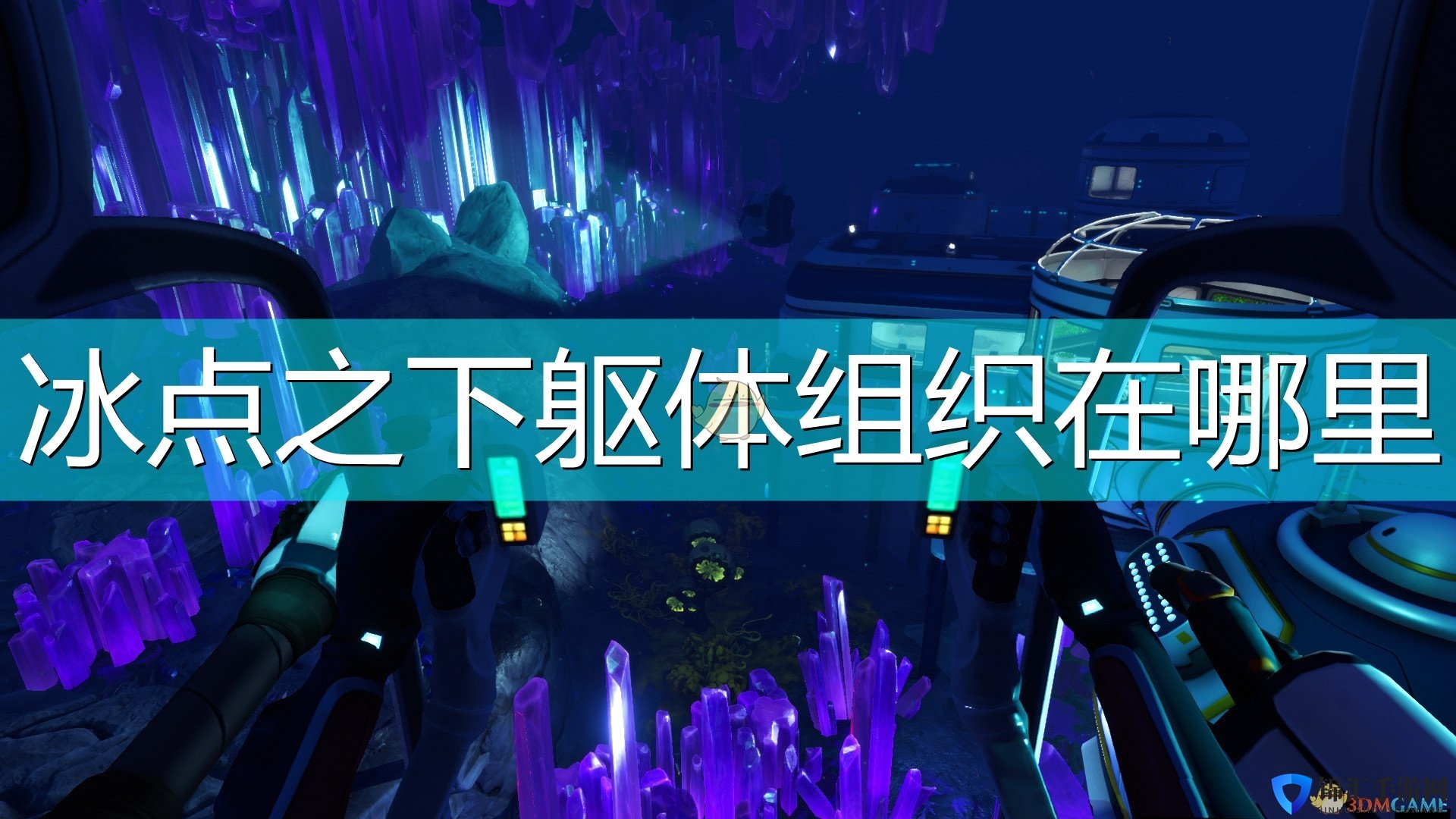《深海迷航：冰点之下》躯体组织位置介绍