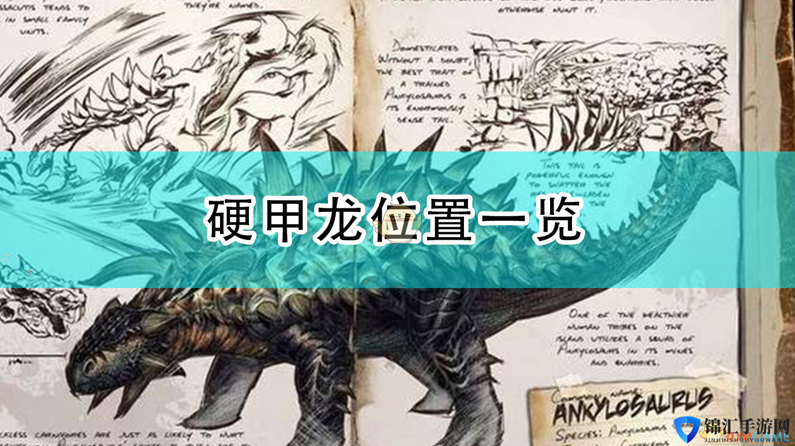 《怪物猎人：崛起》硬甲龙的甲壳获得方法