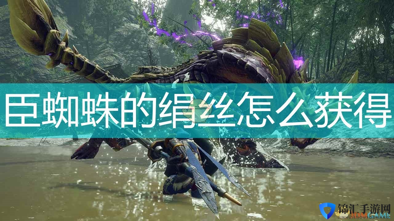 《怪物猎人：崛起》臣蜘蛛的绢丝获得方法介绍
