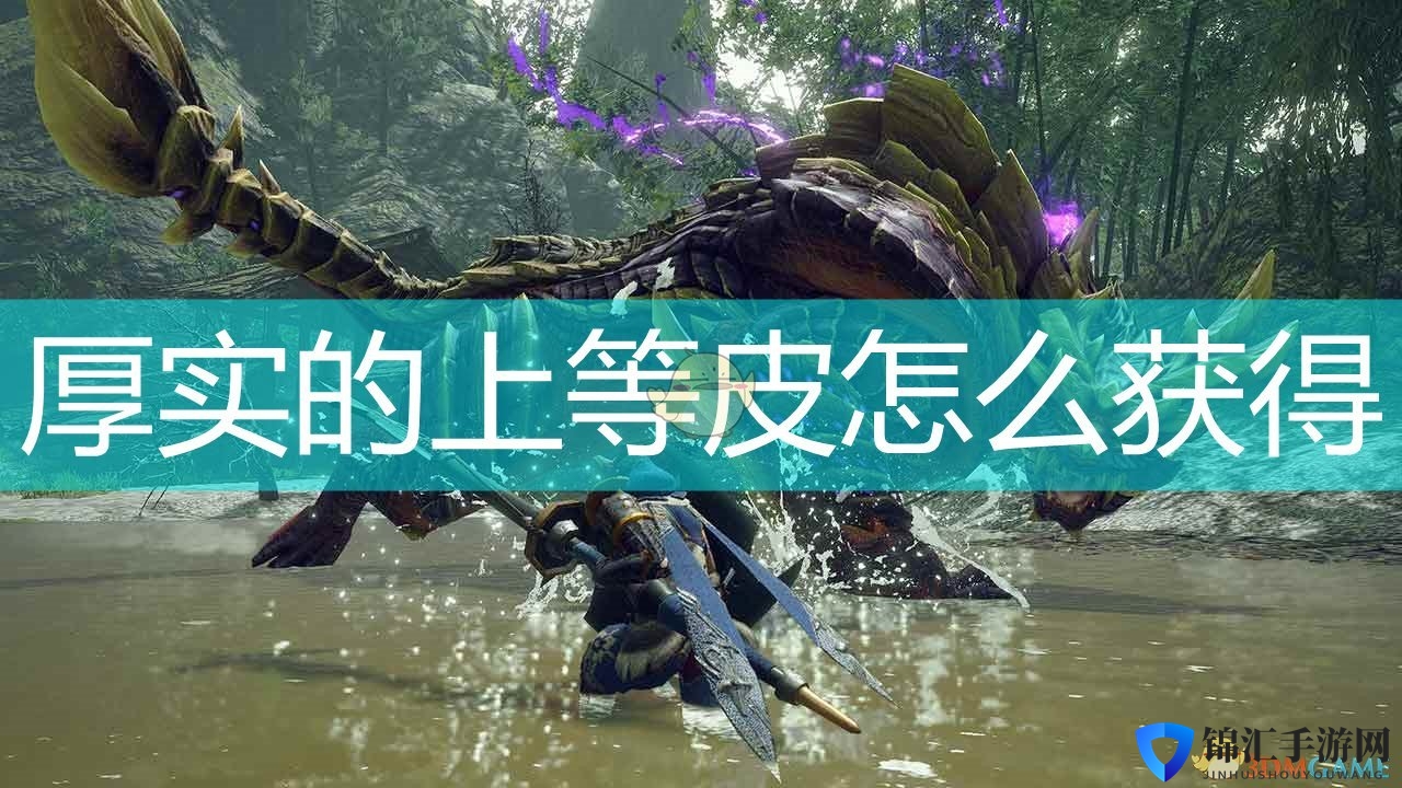 《怪物猎人：崛起》厚实的上等皮获取怪物介绍