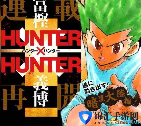 《全职猎人》或将再次休载！富坚义博今年表现出色