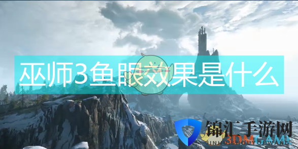 巫师3鱼眼效果是什么