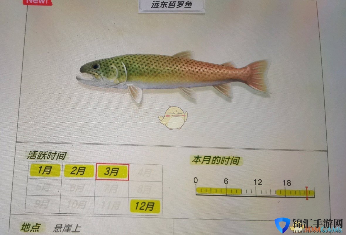 《集合啦！动物森友会》远东哲罗鱼活跃月份及活跃地点分享